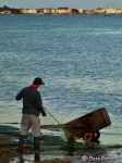 The lone fisherman