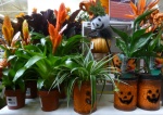 Autumn on sale.jpg