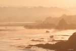 Autumn on the Welsh coast.jpg