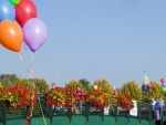 Blooming Bridge.jpg