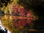 Canal.jpg