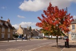 Colin - Autumn Colours 3.jpg