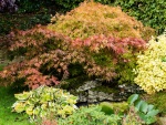 Richard Broadbent - RichardB Autumn3.jpg