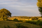 Twyford Fields.jpg