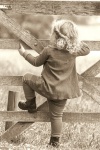 Darcy Pondering-Gail.jpg