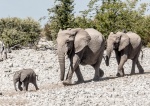 Follow the Leader-Richard.jpg