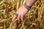 In tune with Nature-Bren.jpg