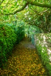 Shade om a Great Summer's Day-Ian.jpg