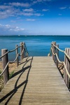 Sirring on the dock of the Bay-Wendy.jpg