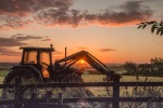 Sunrise Harvester-JohnC.jpg