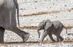 Wait for me Mum-Gail.jpg
