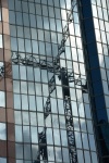 Tall Reflection