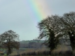 JohnP 1Rainbow.jpg