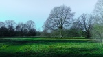 JohnP2 Abbey.jpg