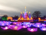 RichardB - Landscape 5.jpg