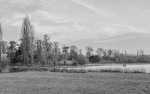 RichardB- Landscape 2.jpg