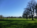 Roy Landscape 1.jpg