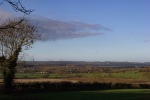 Roy Landscape 3.jpg
