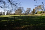Roy Landscape 4.jpg