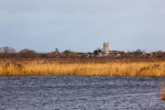 Stuart Landscape_SMW_1.jpg