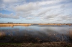 Stuart Landscape_SMW_2.jpg