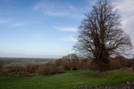 Stuart Landscape_SMW_3.jpg