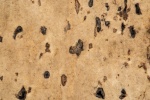 Jim WhatIsIt-4.jpg