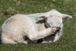 Colin - Feet 3.jpg