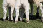 Colin - Feet 5.jpg