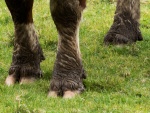 RichardB -Feet 4.jpg