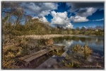 Mick 1.Priory Lake.jpg