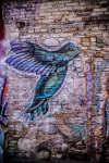 Wendy-2 hummingbird graffiti.jpg
