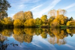 Autumn Colours - Jim Muller.jpg