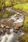Cumbrian Stream - John Cavana.jpg