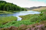 End of Loch Lommond - Sue Fowler.jpg