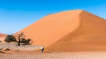 Will she make it to the top - Richard Broadbent.jpg