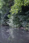 Wendy-3-The Camera Sped By.jpg