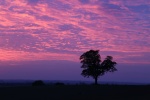 sundown Version 2