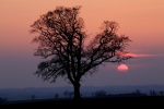 Sundown version 2