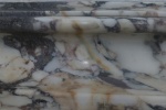 Roy Dolphin in marble.jpg