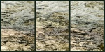 Mahoney Water 2.jpg