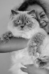 B Difford - Puddy Cat.jpg