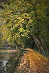 G Girvan - The Well Worn Path.jpg