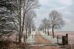 M Tyrrell - Frosty Morning.jpg