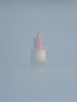 M Wild - Harbour Mist.jpg