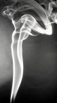 P Wilesmith - Smokey Stocking.jpg