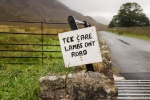 Jim Signage-1.jpg