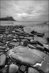 Mick Ledges-1.jpg