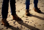 Legs in Boots JohnP