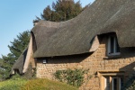 Roy 1. Thatch Great Tew.jpg